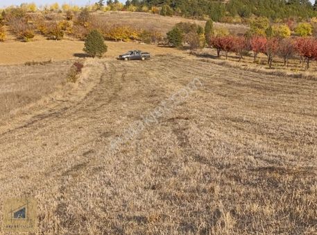 Bilecik Söğüt Küre İlçeye 5dk Ulaşım Kolay Yatırıma Uygun