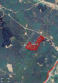 Kocaali Gümüşoluk Mah (bolazar) 10 Dönüm Fırsat Fındıkbahçesi