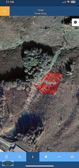 Kocaali Gümüşoluk Mahallesi Çok Verimli Fırsat Fındık Bahçesi