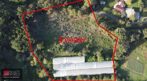 Gümüşderede İmarda Kalan 9.040 M2 Kotlu Arkası Orman Manzaralı