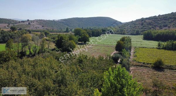 Emre Çevik'den Yenişehir Papatya Mh Hazır Ceviz Bahçesi 3200m2