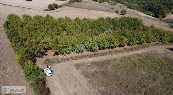 Yenişehir Gökçesu Mh Yetişmiş Ceviz Bahçesi 7970m2