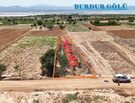 Göl Manzaralı Üzüm Bağı Kadastro Yoluna Cepheli Tek Tapu