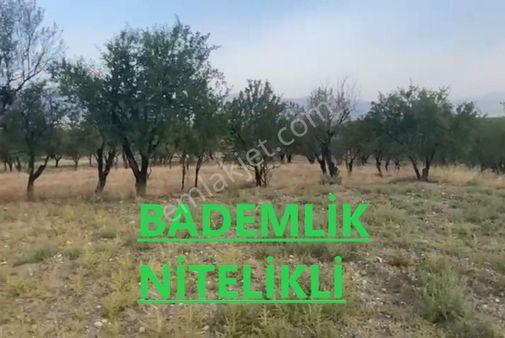 Badem Bahçesi Ve Verimli Arazisiyle Bu Fırsatı Kaçırmayın!