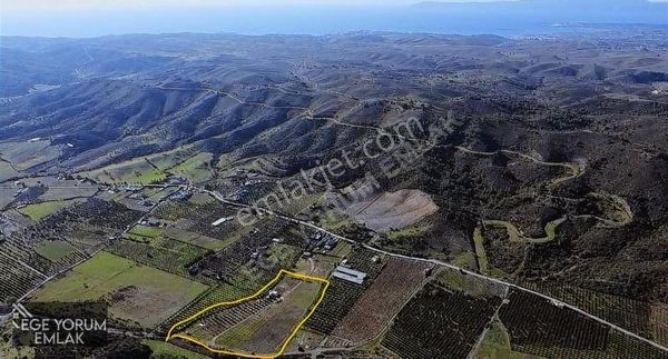 Tapudan Devir 243m2 Arsa Tapulu Parseller