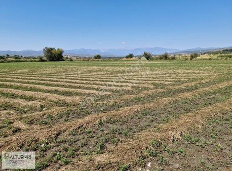 Seydikemer Kadıköy'de Doğanın Kalbinde Yatırımlık Arazi Fırsatı