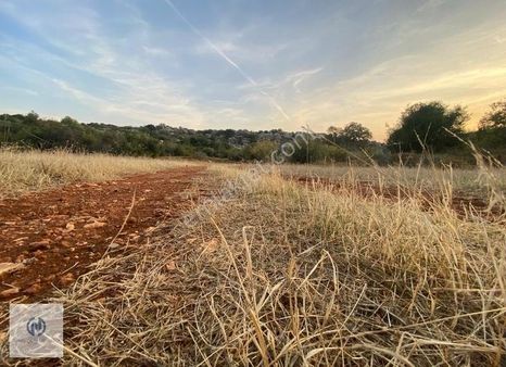 **nova** Silifke Hacı İshaklı Mh. Denize Yakın 4.225 M2 Arsa