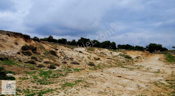 **nova** Kepirli'de Çok Acil Satılık 1016 M2 Villalık Arsa