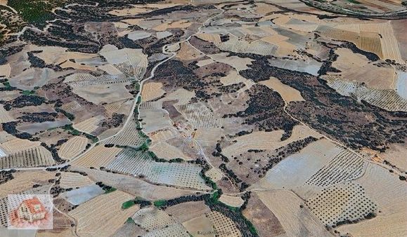 Gördes Sarıalilerde Satılık 184.000m2 Arazi Ges İçin Uygun