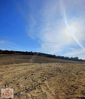 Hasanlar Köyünde Satılık 253m2 Arazi