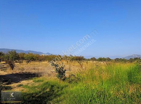 Pamukova Göl Manzaralı 1300 M Ayva Bahçesi