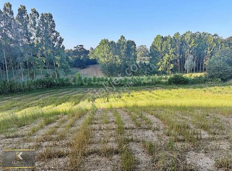 Kırkarmut Yüzde 5 İmarlı