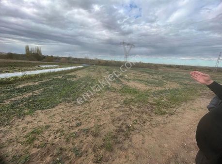 Kırklareli Merkez Asilbeyli 8051 M Tek Tapu Tarla