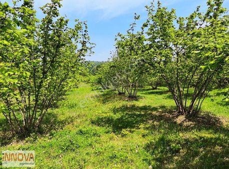 Kandıra Eğirceli %5 İmarlı Fırsat Arsa