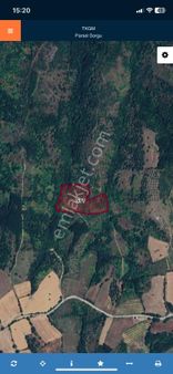 Çanakkale Doğacada Satılık 21 Dönüm Tarla