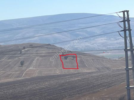 Ulucan Emlaktan Bozüyük Osb Arkasında Satılık Tarla