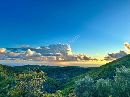 Alanya Karamanlarda Satılık 2.980 M2 Deniz Manzaralı Tarla