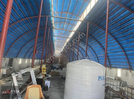 Agırnasda Ahır Ve Çiflik