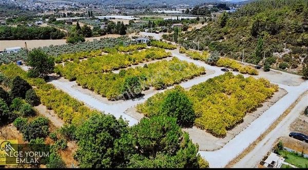 275m2 Mandalina Bahçesi Menderes Çile Köyünde Denize Yakın