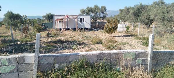 Acill Torbalı Dirmil 'de 402m2 İçerisi Konteynırlı Satılık Bahçe(arsa)