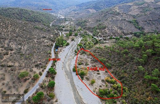 Burhaniye Karadere Köyünde 7.445 M2 Fırsat Bahçe Vasıflı