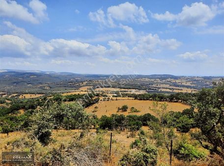 Balıkesir Balya.5785 M2 Resmi Kadastro Yola Cepheli Fırsat Tarla