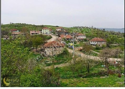 Kandıra Selametli Tek Tapulu 12.dönüm Satılık Tarla