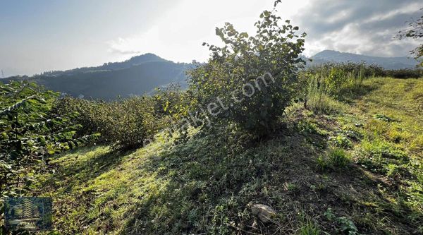 Uğurlu 'da Deniz Manz Önü Kapanmaz Villalık 756 M2 Fırsat Arsa