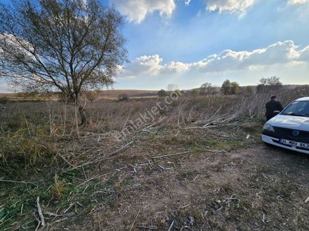 Acil Satılık Yazlık Hobi Bahçesi Yapımına Hazır Arsa