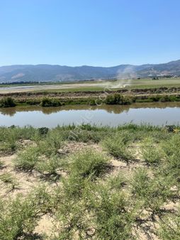 Hatayhavaalanı Yanında Satılık Tarla