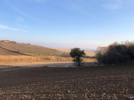 Şarköy De Işık Emlaktan Kızılcaterzi Mah De 3700 M2 Tarla