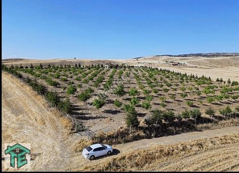 █turkuaz Emlak█ Ceviz Garden Loft Hobi Bahçeleri 350m2 Elekt. Su