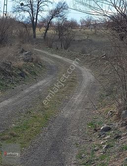 Kurtsoy'dan İncesu'da Konumu Güzel İmarı Yakın Fırsat Bağ