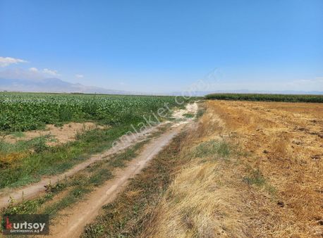 Kurtsoydan Yeşilhisarda 69 Dekar Yatırımlık Verimli Sulu Tarla