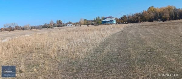 Satılık 3.500 Metre Müstakil Tarla Göle 900 Metre Uzak
