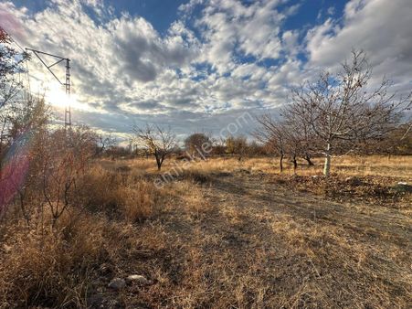 Öz Gaye Emlaktan Develi Reşadiye Köşkpınar Mevkinde Satılık Bağ Yeri