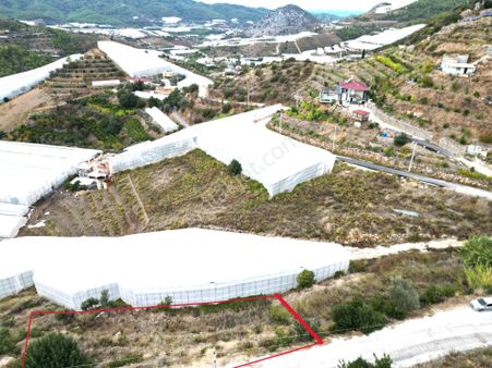 Alanya İmamlı Mah. Yola Sıfır Konumda Yatırımlık 900 M2 Tarla