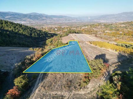 Remax Mavi'den Geyve Safibey'de Köy İmarına Yakın 4205m² Tarla