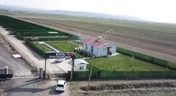 Yakutiye Altınbulak'ta Satılık Tarım Bahçeleri