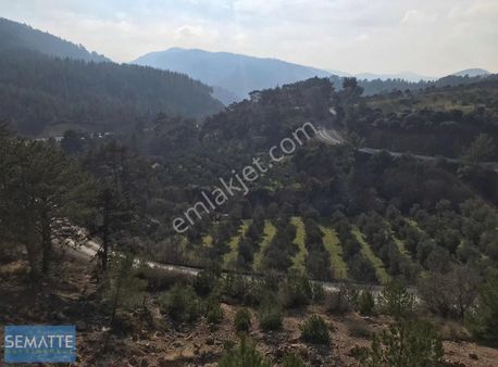 Satılık Müstakil Tarla Balıkesir Havranda 8100 M²