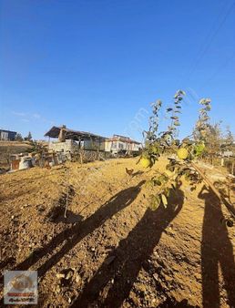 Hastoprak Emlaktan Polatlı Şentepe Bağ Evlerinde Satılık Arsa