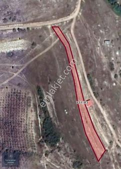 Kandıra Ağaç Ağılda Satılık Tarla Yola Cepheli