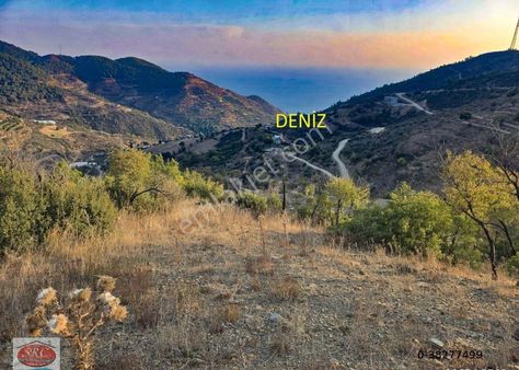 Mersin Anamur Uçarı Satılık Tarla-ev