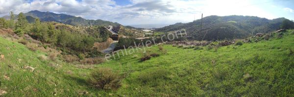 Aslıhan Gayrimenkul'den Demirören Mahallesin'de Satılık Tarla