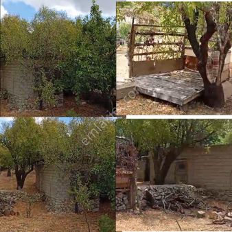 Yağrat Köyünde İçinde Köy Evi Olan Arsa