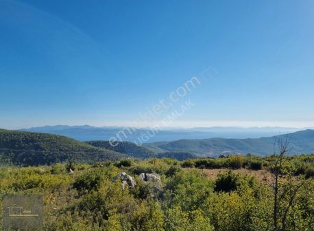 Muğla Zeytinköyde Panoramik Full Deniz Manzaralı 12.711 M² Tarla
