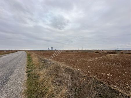 Asfalt Cephe-nef Lüleburgaz Karşısı-30mcepheli-uygun Fiyat Arazi