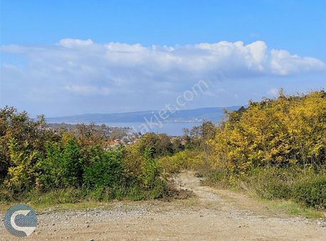 Sapanca Ünlüce'de Göl Manzaralı İmarlı Arsa