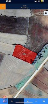 Edirne Lalapaşada Kadastral Yola Cephe Satılık Tarla