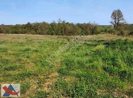 Yetiş Al Dan Şile Çengilli De Doğa İçinde 4.550 M2 Satılık Arazi